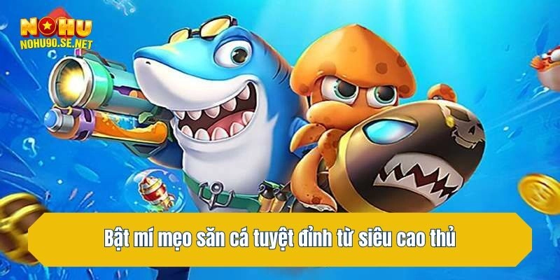 Bật mí mẹo săn cá tuyệt đỉnh từ siêu cao thủ