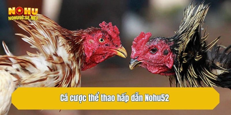 Cá cược thể thao hấp dẫn
